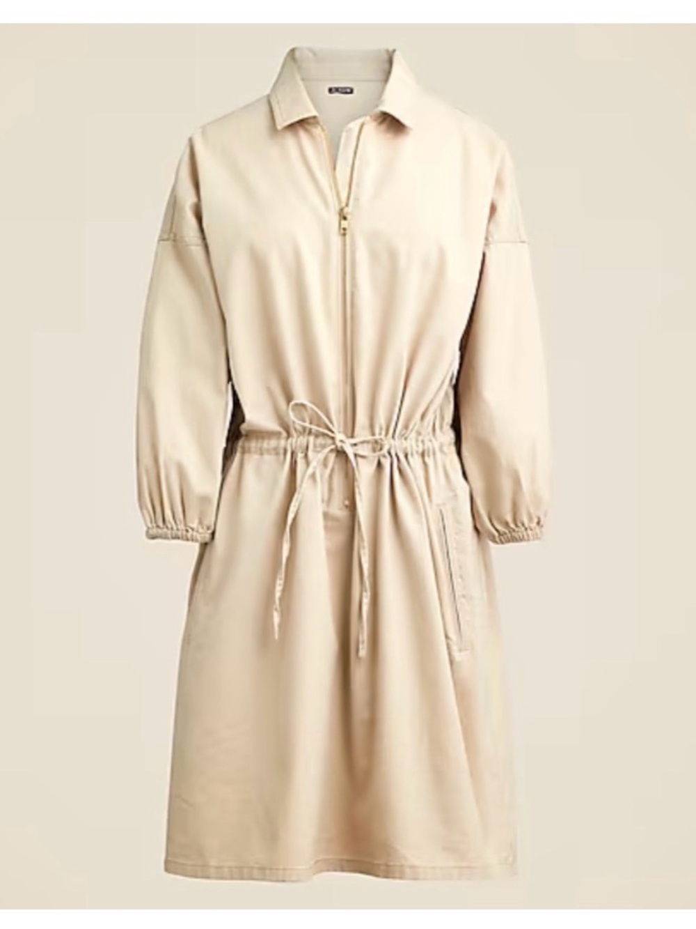 J. Crew Neutral Drawstring Zip-Front Long Sleeve Dress